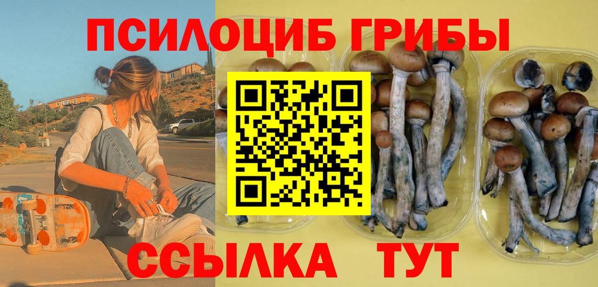 Галлюциногенные грибы прущие грибы  цена   Салехард  Вход с VPN 