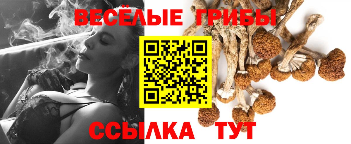 Галлюциногенные грибы MAGIC MUSHROOMS Салехард